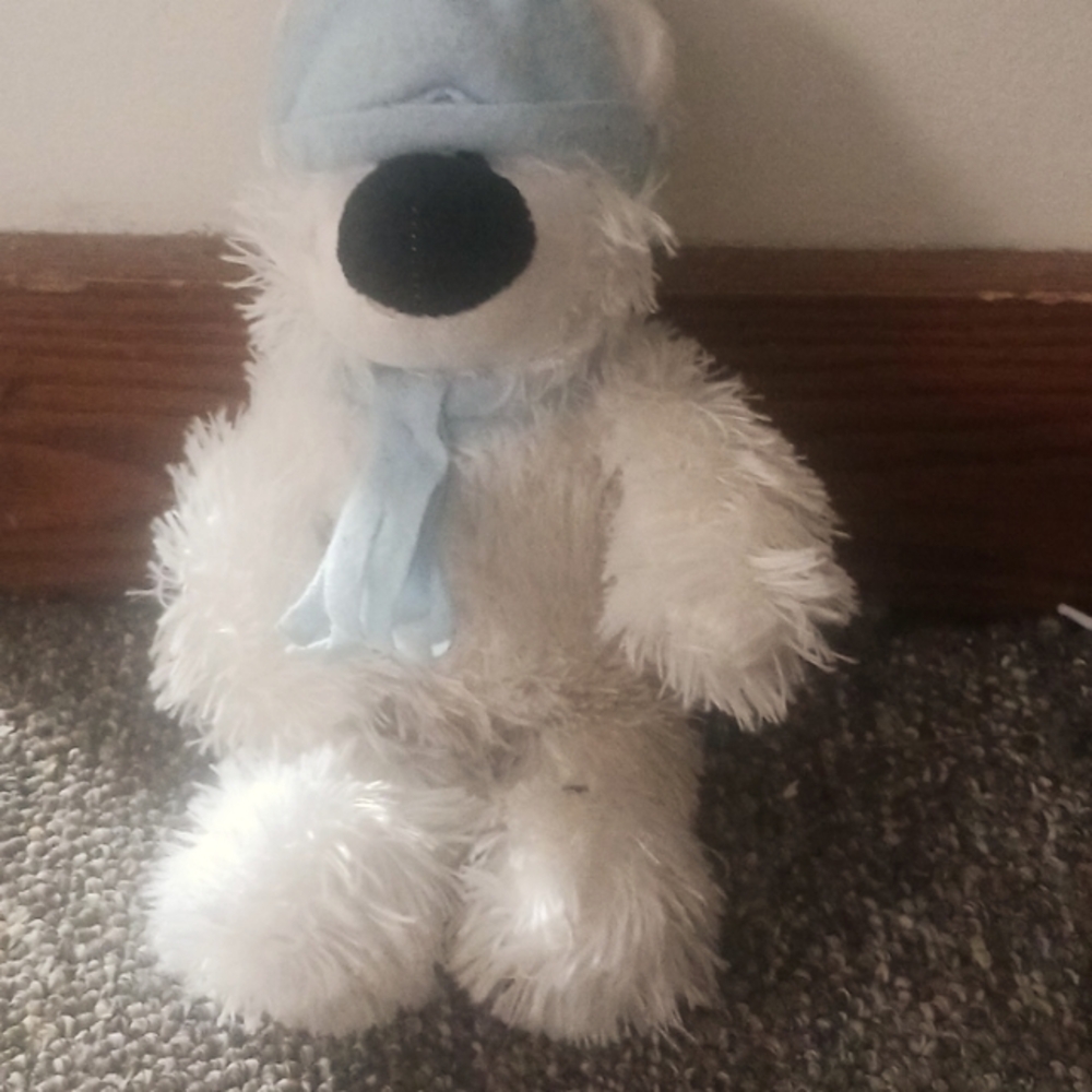 Teddy bear